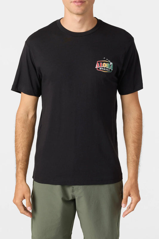 Camiseta Palms