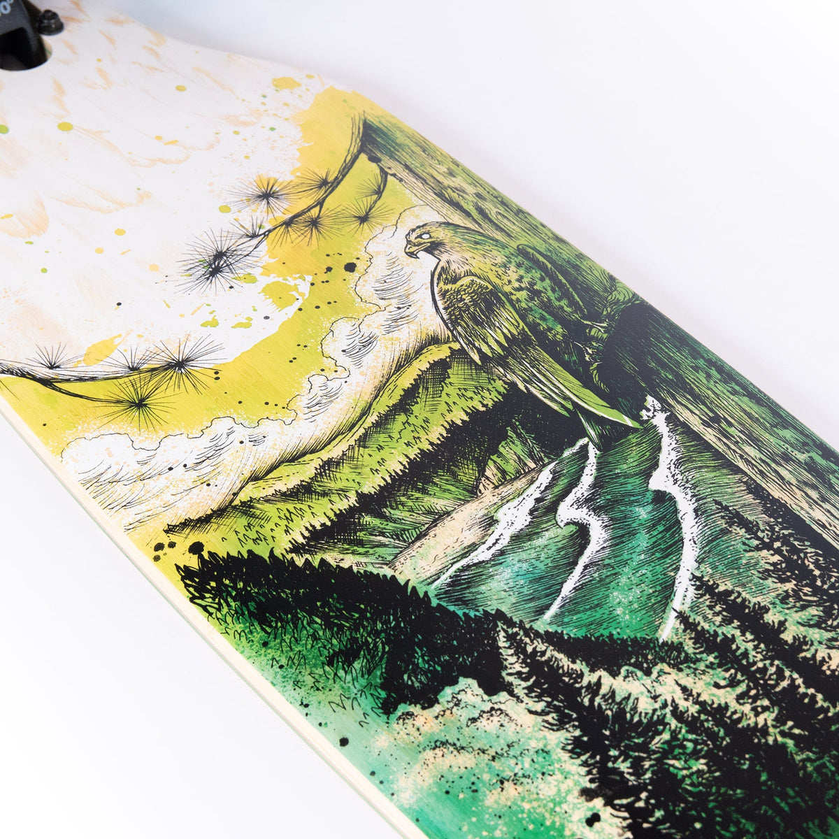 Sector 9 Lookout Talon 41.125 inch complete skateboard bottom graphic