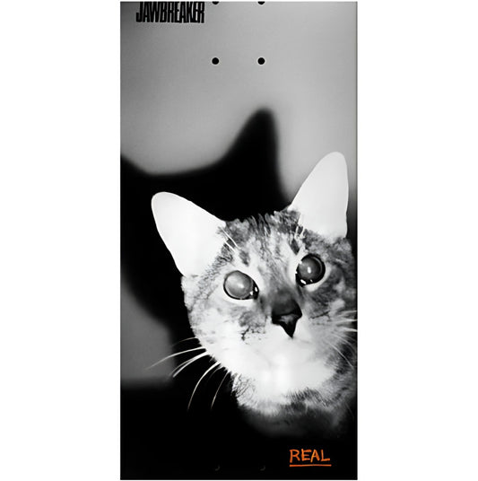 Real x Jawbreaker Mason Silva Unfun 8.28 Skateboard Deck