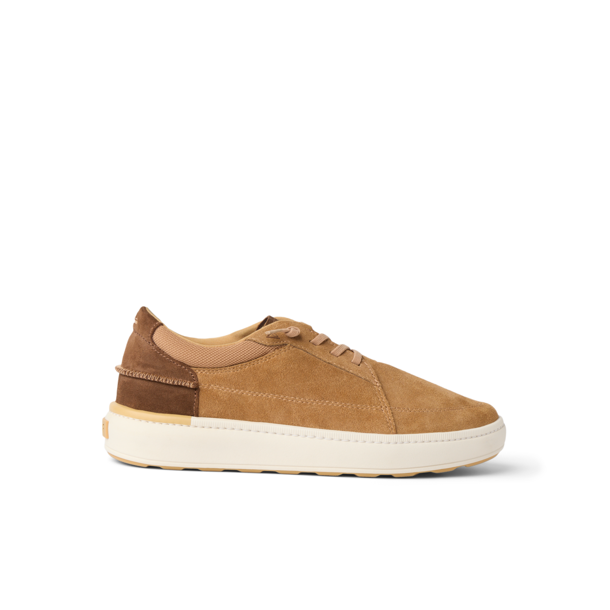 Reef Shoreline Verano Tan