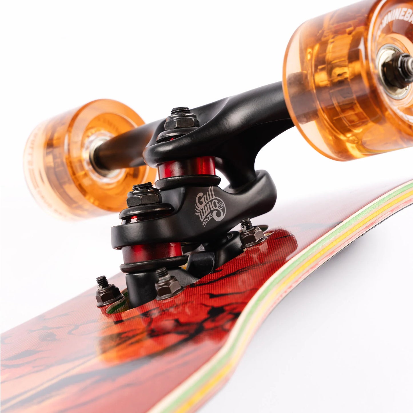 Sector 9 Sidewinder truck detail close-up on Rasta Mini Striker skateboard