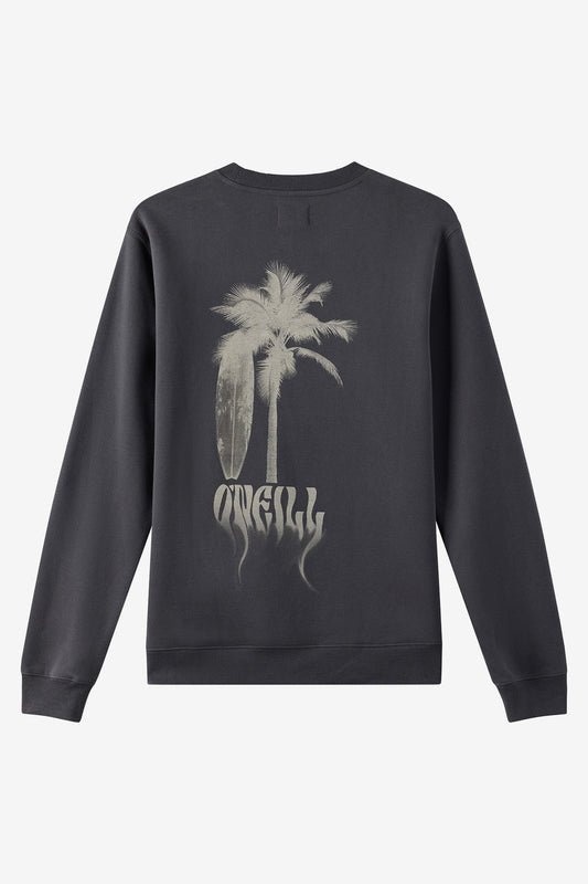 Boys' Shadow Classic Crew Neck Fleece back view