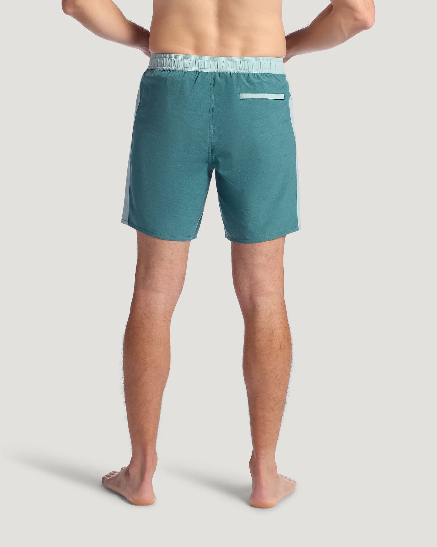 Freefly Men's Palmera Trunk 17 swim trunks back view