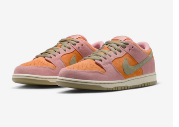 Nike SB Dunk Low Pro 600